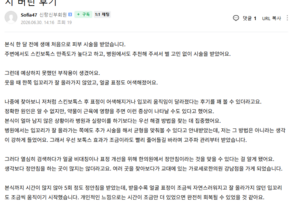 정안침 후기